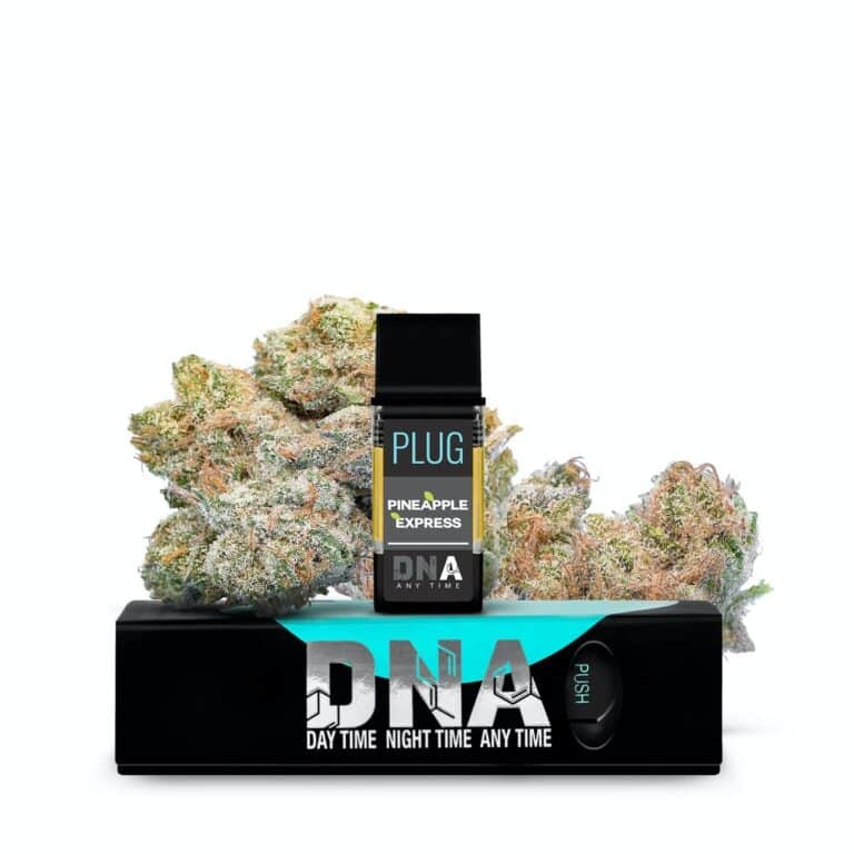 PLUGPLAY Pod 1 gram, available for weed vape delivery in Irvine, Mission Viejo, San Clemente, & Orange County